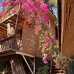 Turan Hill Lounge Vakantiepark Faralya