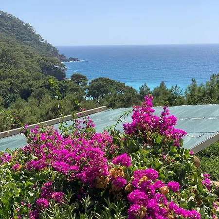 Turan Hill Lounge 4*