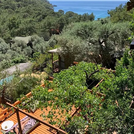 Turan Hill Lounge Σπίτι διακοπών *