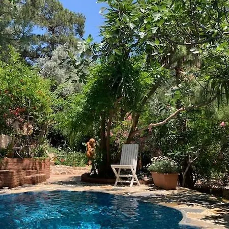 图兰山朗致酒店 4* 法拉尔雅