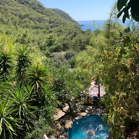 Holiday park Turan Hill Lounge Faralya