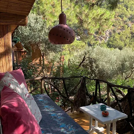 Turan Hill Lounge Feriehus Faralya