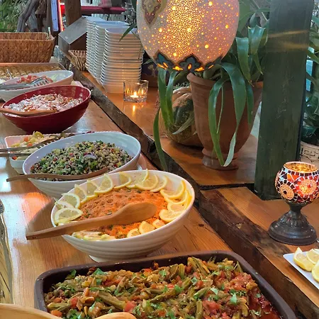Turan Hill Lounge Faralya