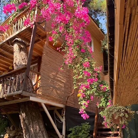 Turan Hill Lounge Feriehus Faralya