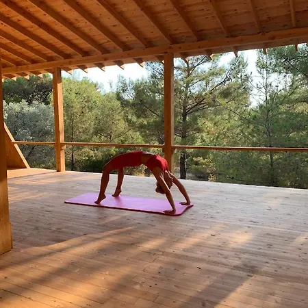 Turan Hill Lounge 4*