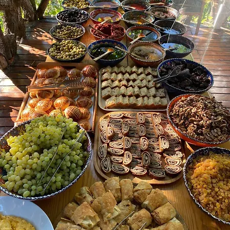 Turan Hill Lounge Parc de vacanță Faralya