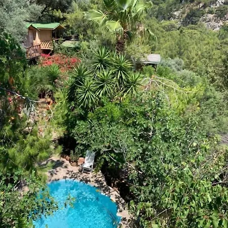 Parc de vacanță Turan Hill Lounge