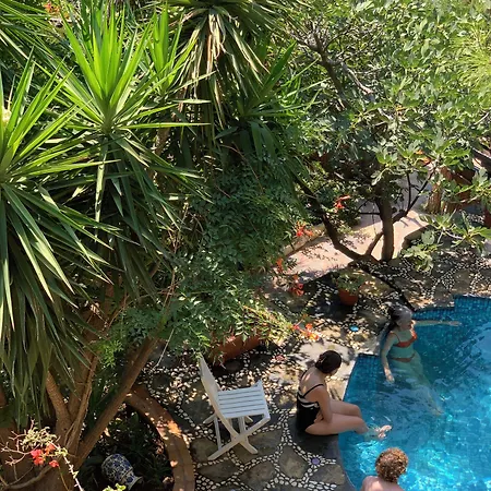 Turan Hill Lounge 4* Faralya