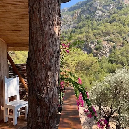 Parc de vacanță Turan Hill Lounge 4*