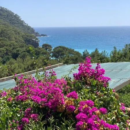 Parc de vacanță Turan Hill Lounge