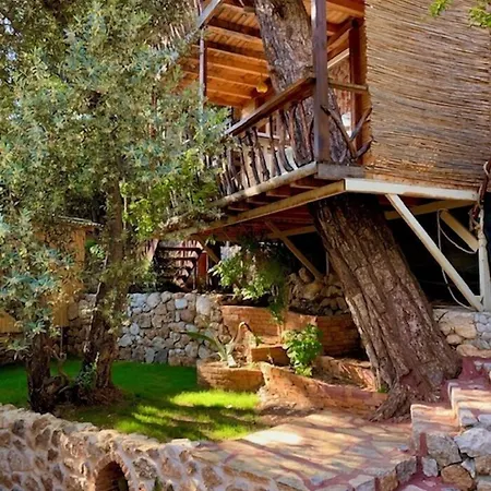 Turan Hill Lounge Faralya