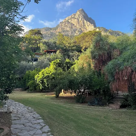 Vakantiehuis Turan Hill Lounge