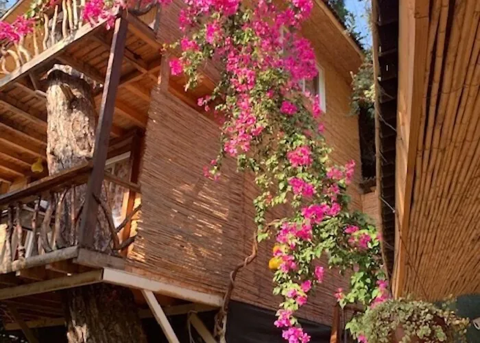 Turan Hill Lounge 홀리데이파크 파랄리아